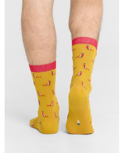 Носки горчичный