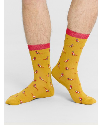 Носки горчичный