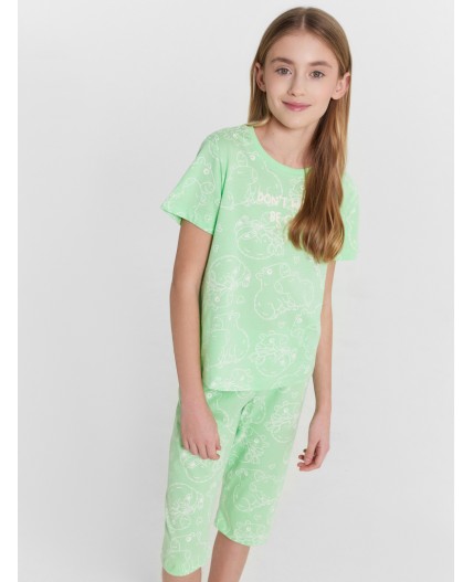 Комплект капибары на яблочном