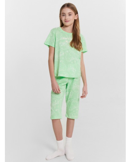 Комплект капибары на яблочном