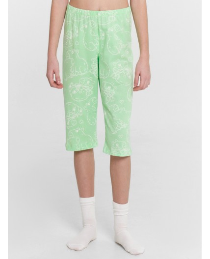 Комплект капибары на яблочном