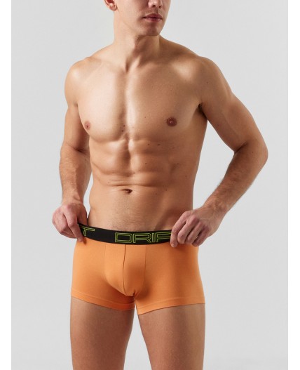 Трусы морковный +синий +печать