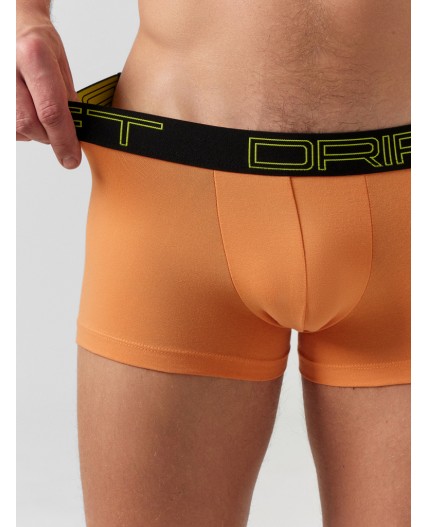 Трусы морковный +синий +печать