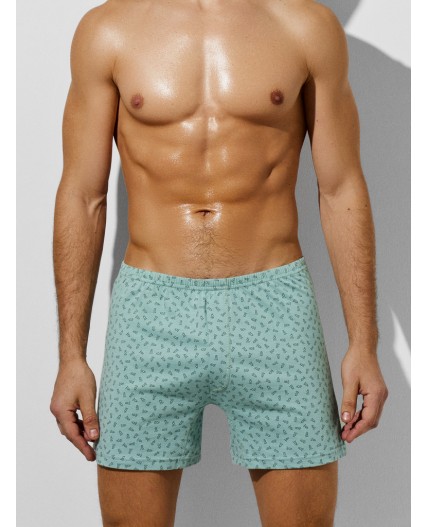 Трусы геометрия на шалфее