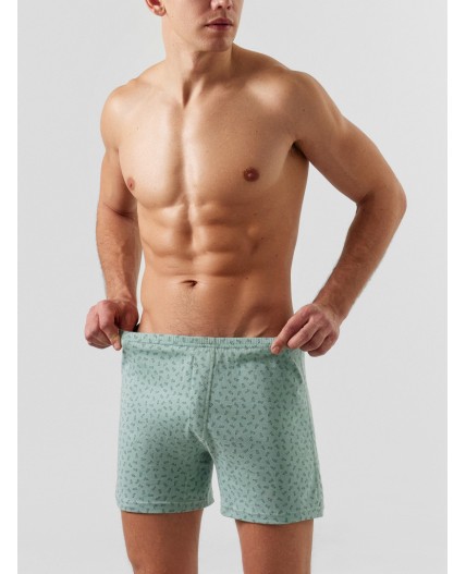 Трусы геометрия на шалфее