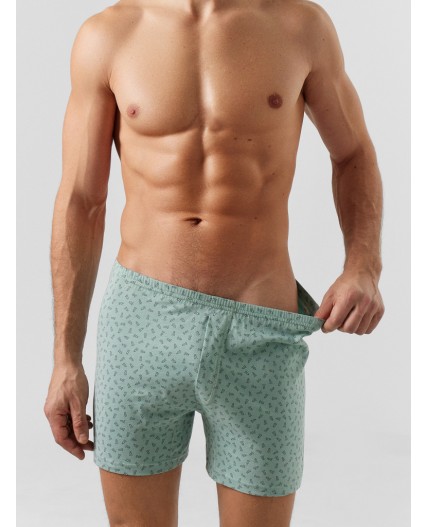 Трусы геометрия на шалфее