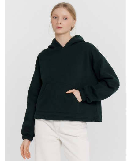 Худи пыльная зелень