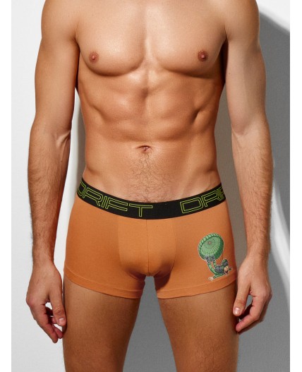 Трусы морковный +печать