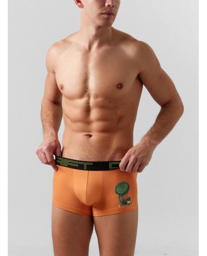 Трусы морковный +печать
