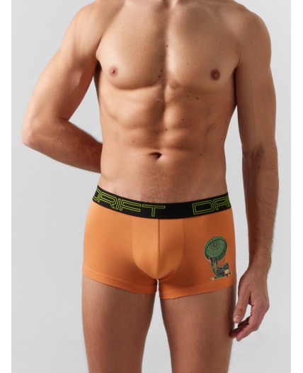 Трусы морковный +печать