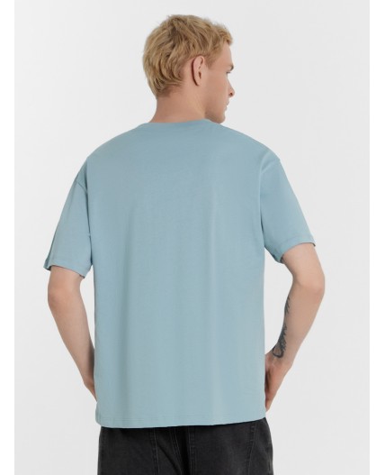 Футболка полынь