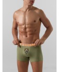Трусы зеленый чай +печать