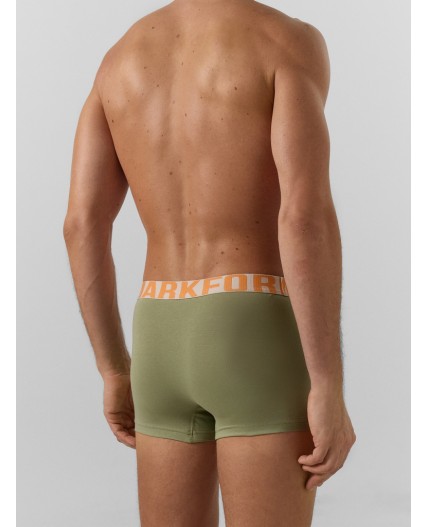 Трусы зеленый чай +печать