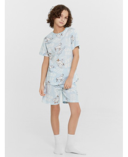 Пижама чайки -серферы на голубом