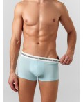 Трусы голубой1
