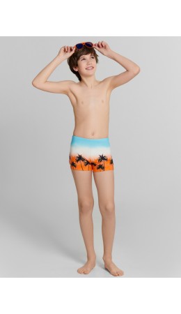 Трусы купальные пальмы на закате