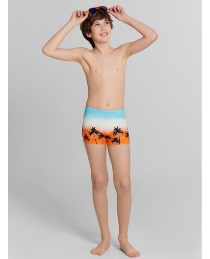 Трусы купальные пальмы на закате