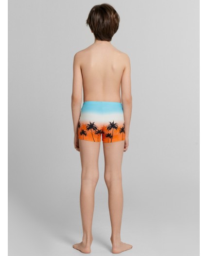 Трусы купальные пальмы на закате