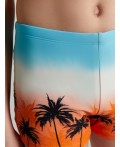 Трусы купальные пальмы на закате