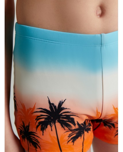 Трусы купальные пальмы на закате