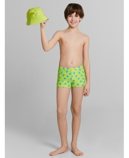 Трусы купальные крабики на салатовом