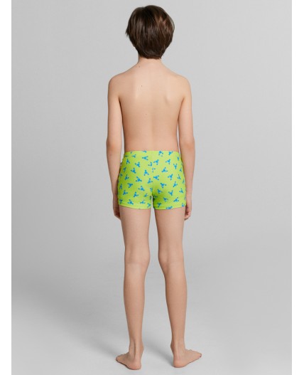 Трусы купальные крабики на салатовом