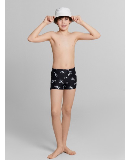 Трусы купальные акулы на черном
