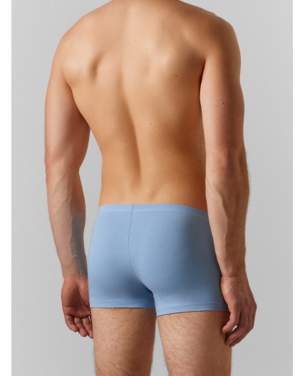 Трусы пыльно -голубой
