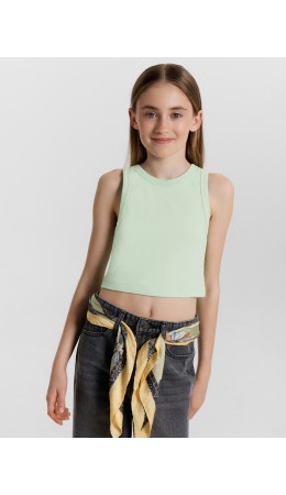 Топ свежая мята