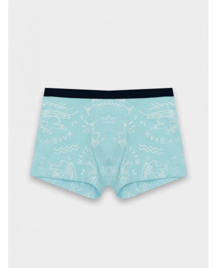 Трусы гуси на голубом