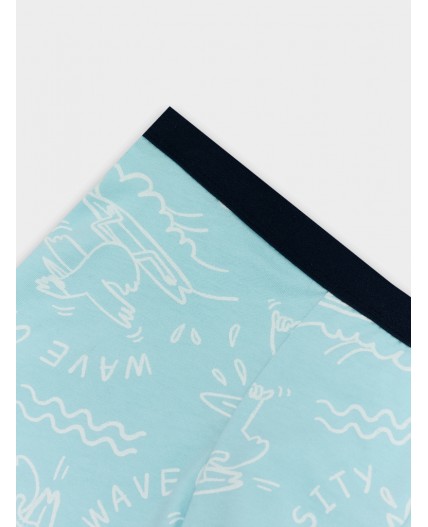 Трусы гуси на голубом