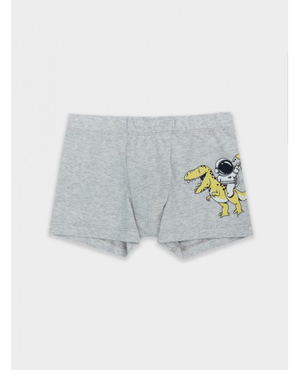Трусы св.серый меланж +печать