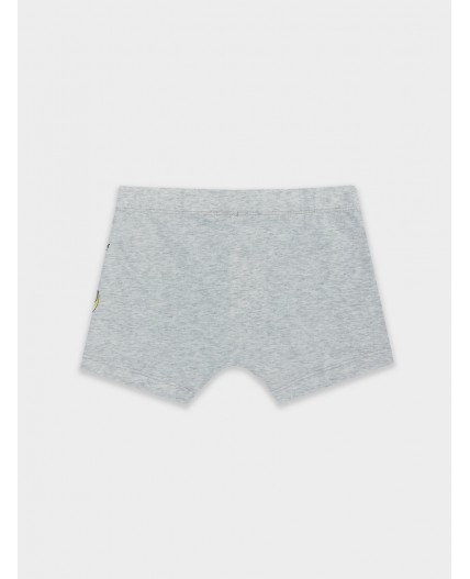 Трусы св.серый меланж +печать