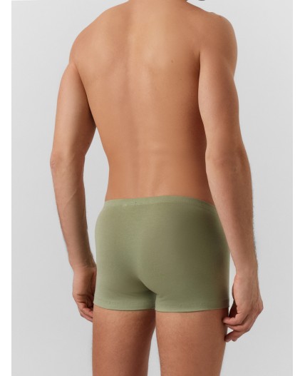 Трусы зеленый чай +серо -зеленый