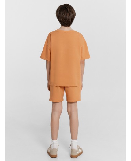 Комплект морковный +печать