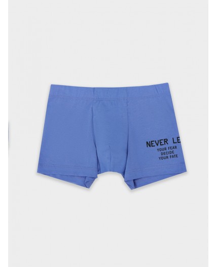 Трусы аметист +печать