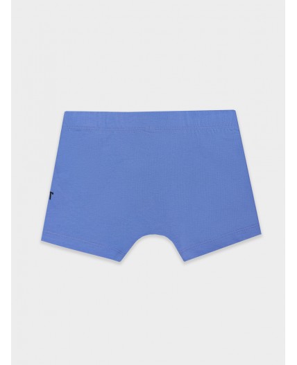 Трусы аметист +печать