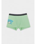 Трусы свежая мята +печать