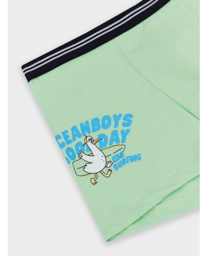 Трусы свежая мята +печать