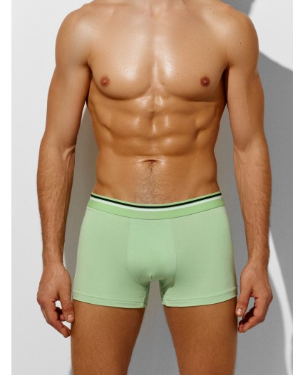 Трусы зеленая дымка