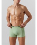 Трусы зеленая дымка