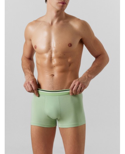 Трусы зеленая дымка