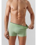 Трусы зеленая дымка