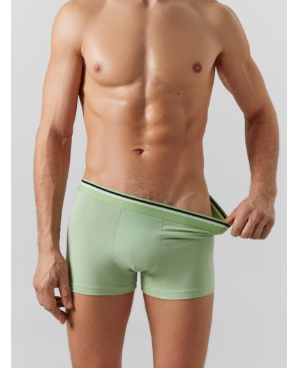 Трусы зеленая дымка