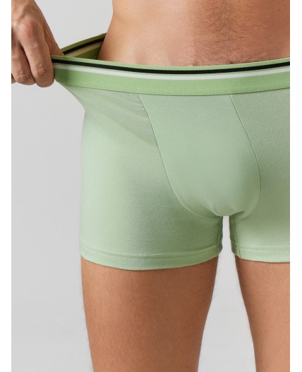 Трусы зеленая дымка