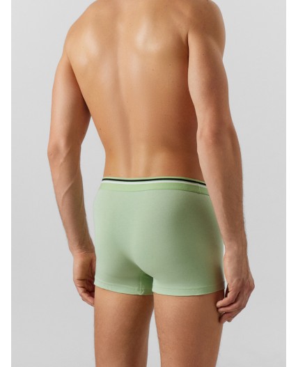 Трусы зеленая дымка