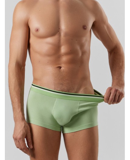 Трусы зеленая дымка +орнамент на сизом