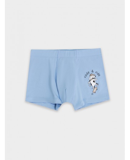 Трусы пыльный голубой