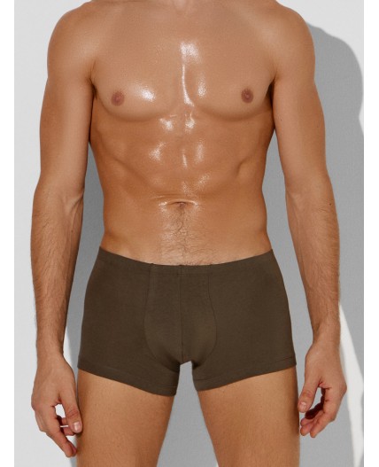 Трусы табак +зеленый Нил