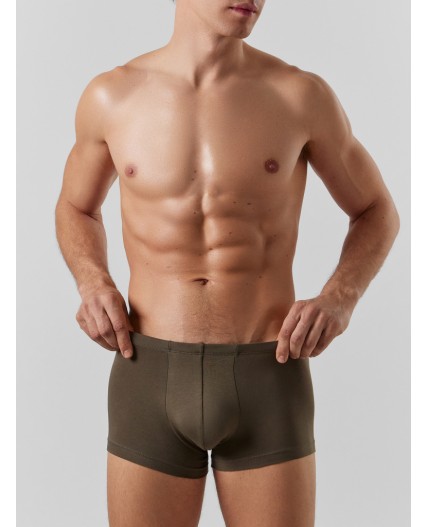 Трусы табак +зеленый Нил